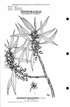 no HD illustration available (m3)