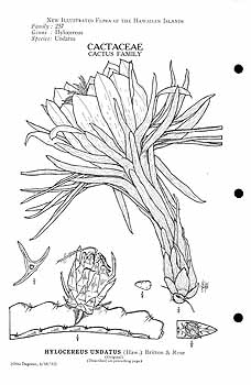 no HD illustration available (m1)