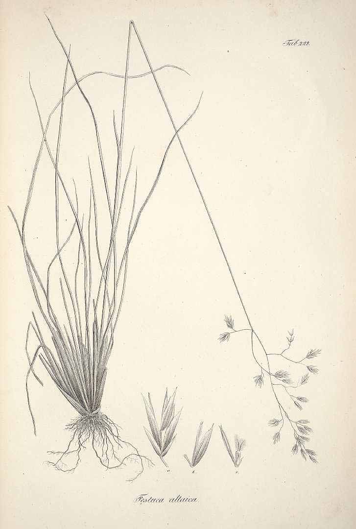 no HD illustration available (m3)