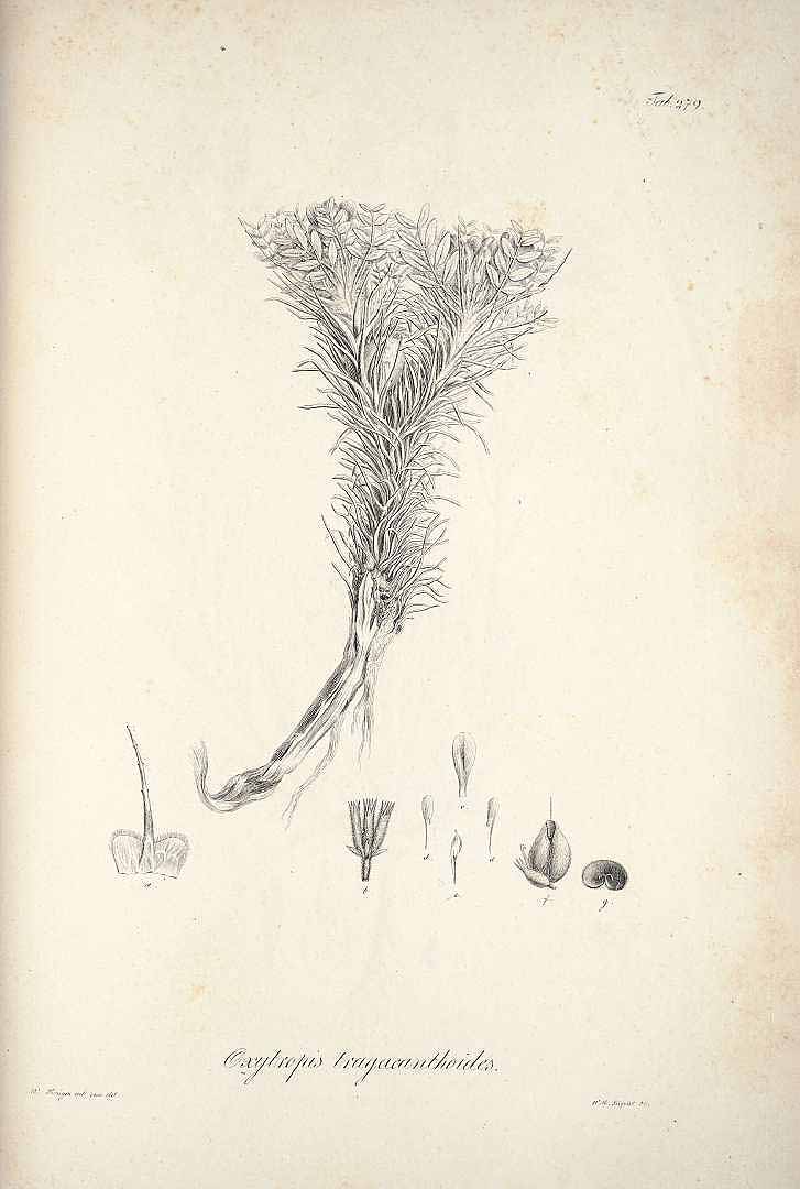 no HD illustration available (m3)