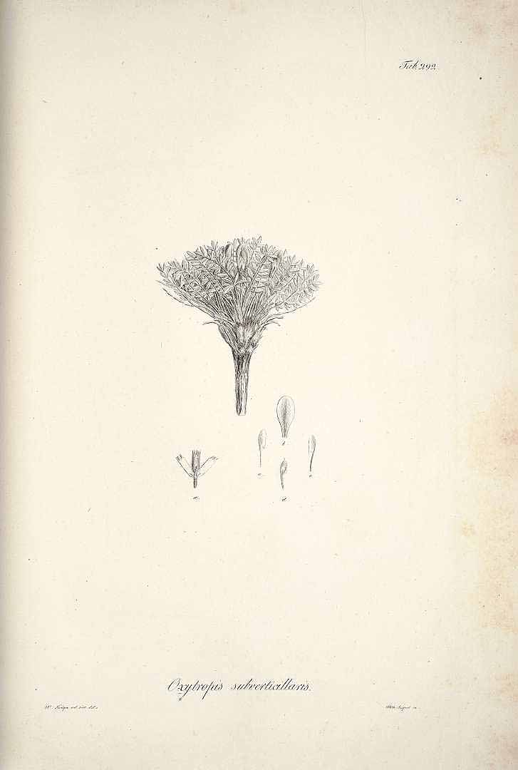 no HD illustration available (m3)