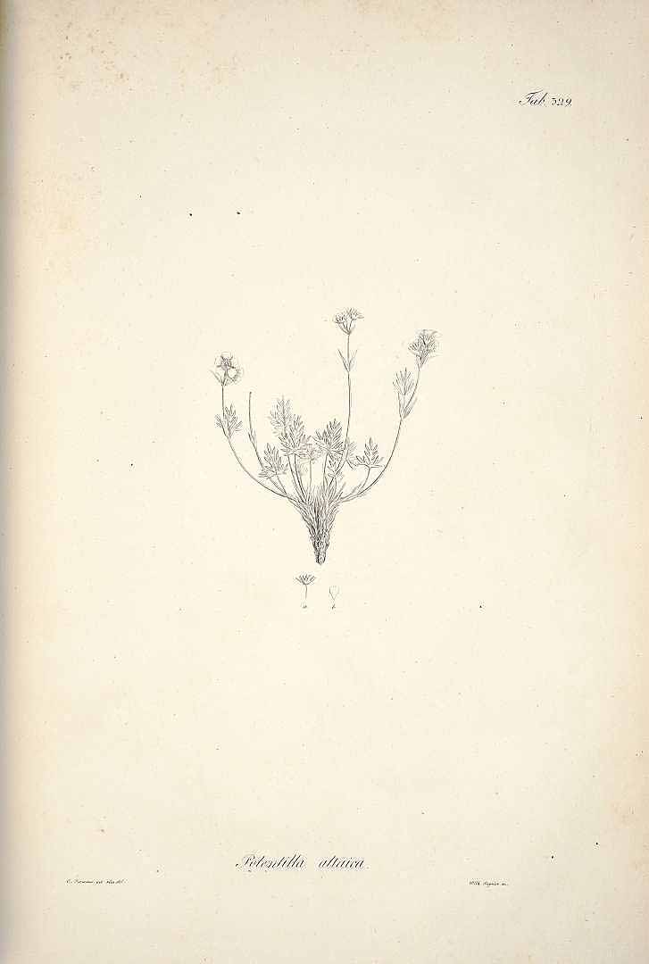 no HD illustration available (m3)