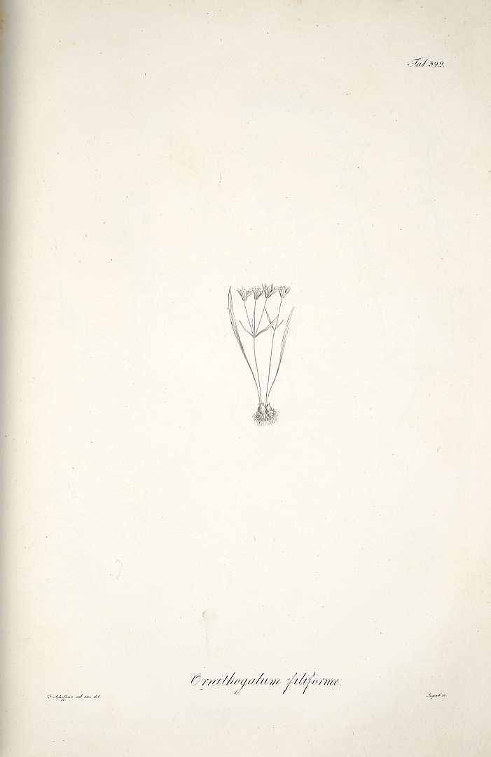 no HD illustration available (m3)