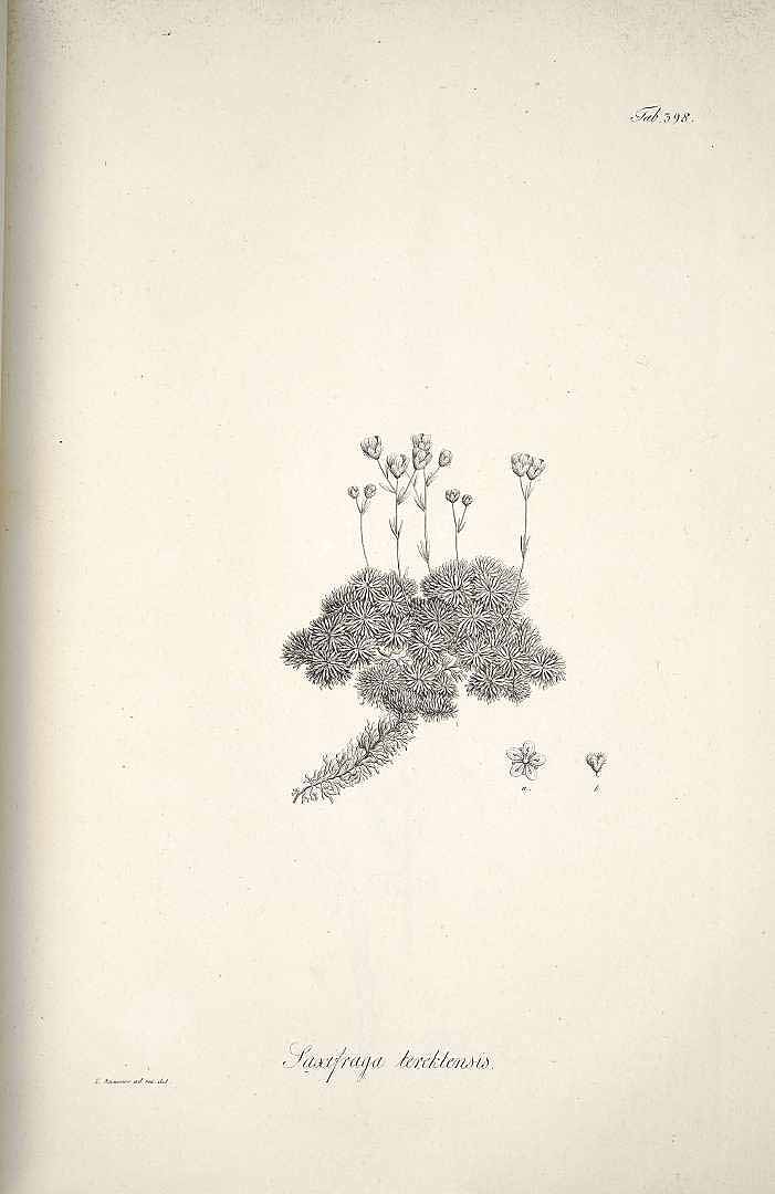 no HD illustration available (m3)