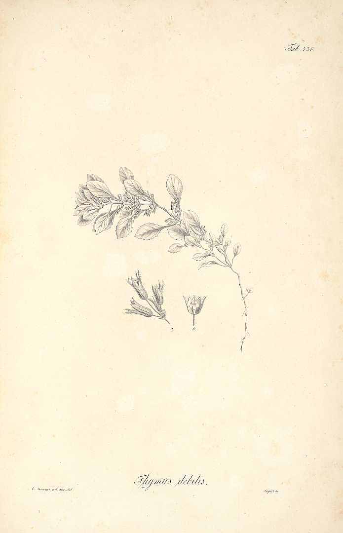 no HD illustration available (m3)