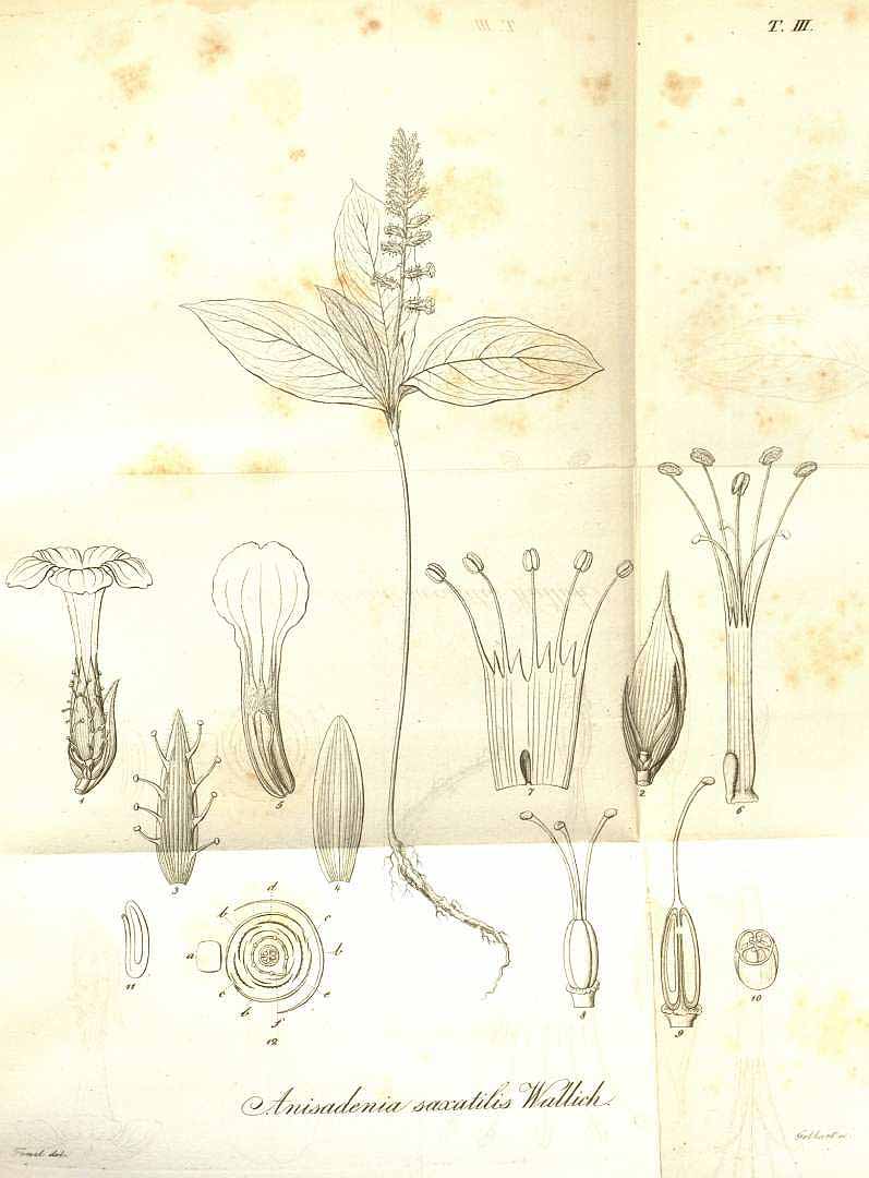no HD illustration available (m5)