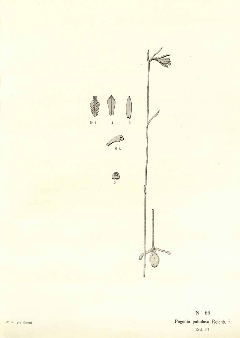 no HD illustration available (m3)