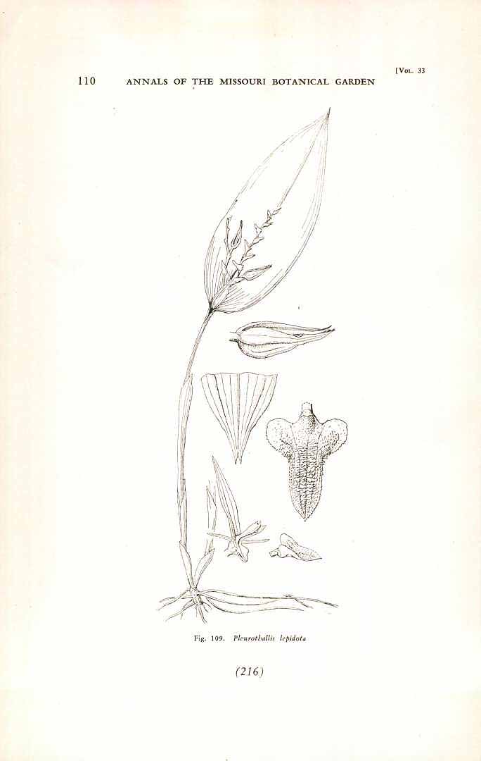no HD illustration available (m5)