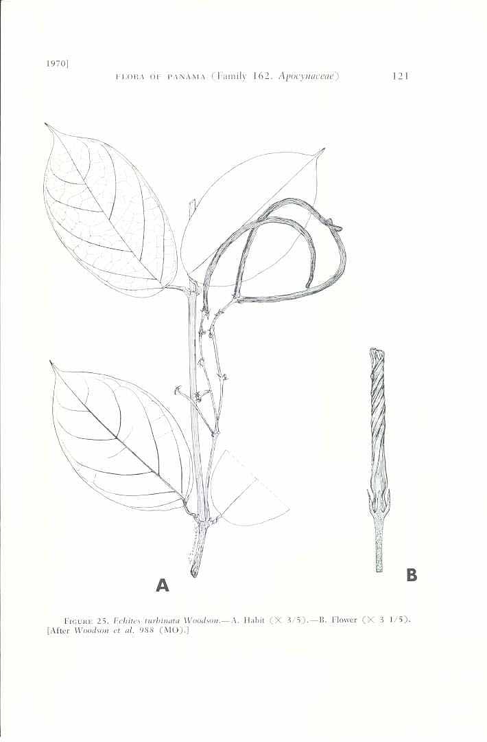 no HD illustration available (m1)