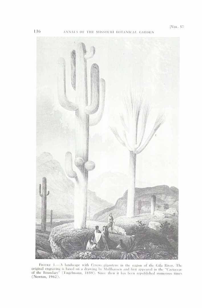 no HD illustration available (m1)