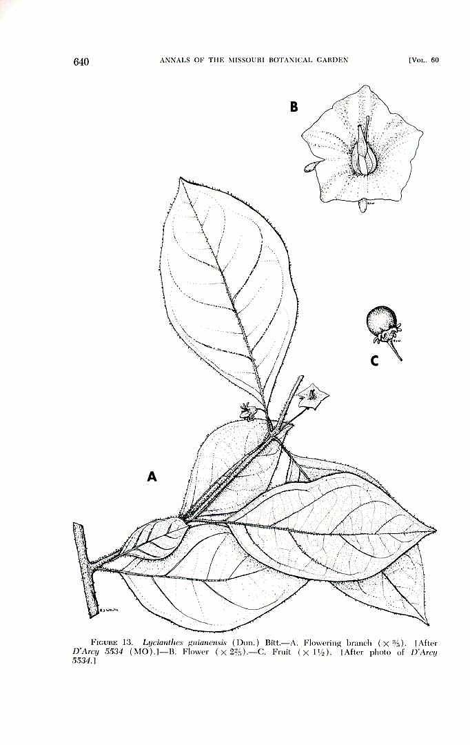no HD illustration available (m1)