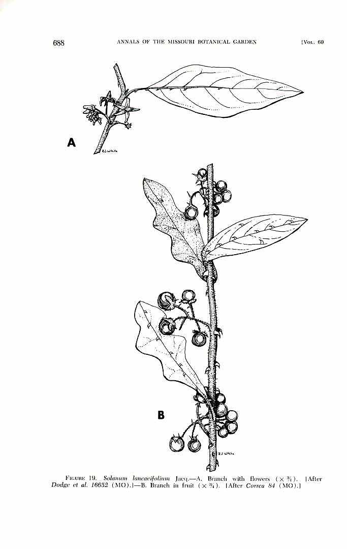 no HD illustration available (m1)