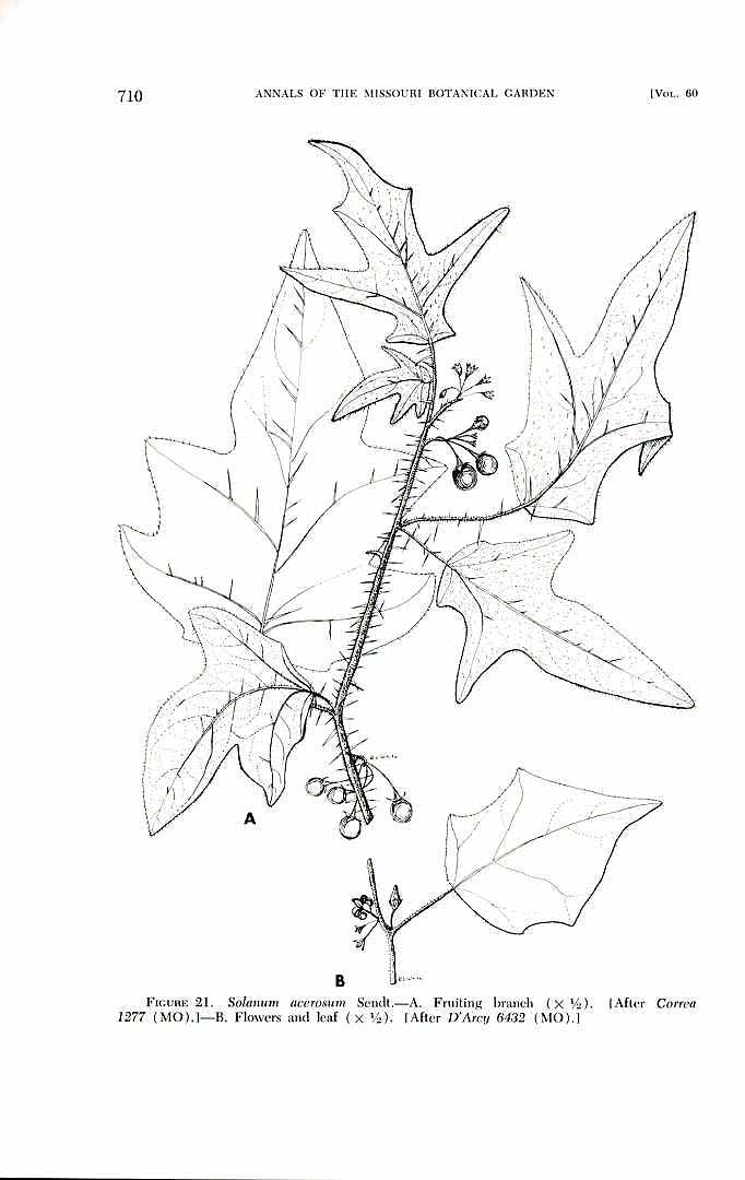 no HD illustration available (m1)
