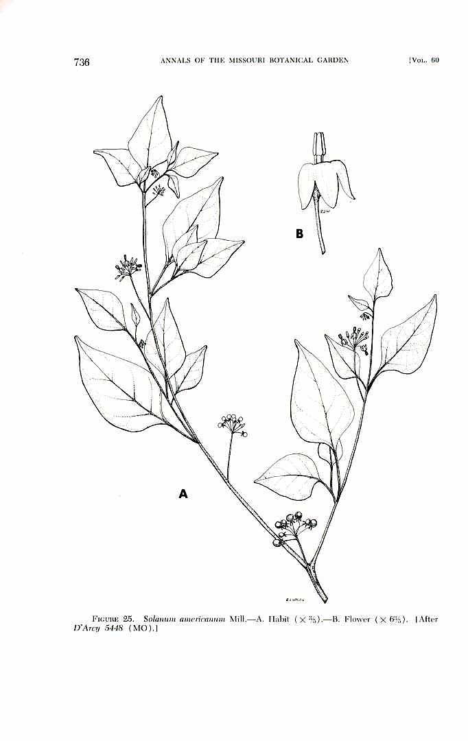 no HD illustration available (m1)