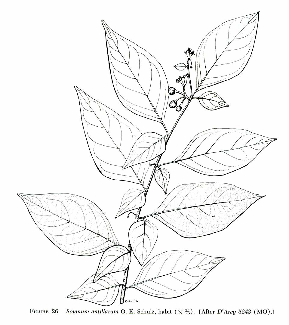 no HD illustration available (m1)