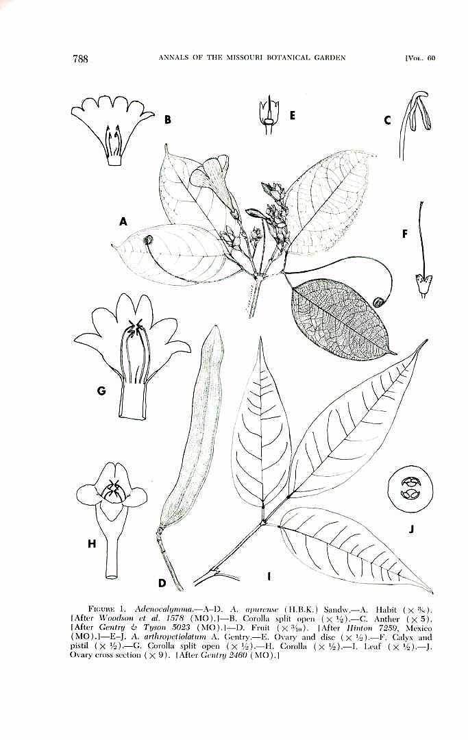no HD illustration available (m3)