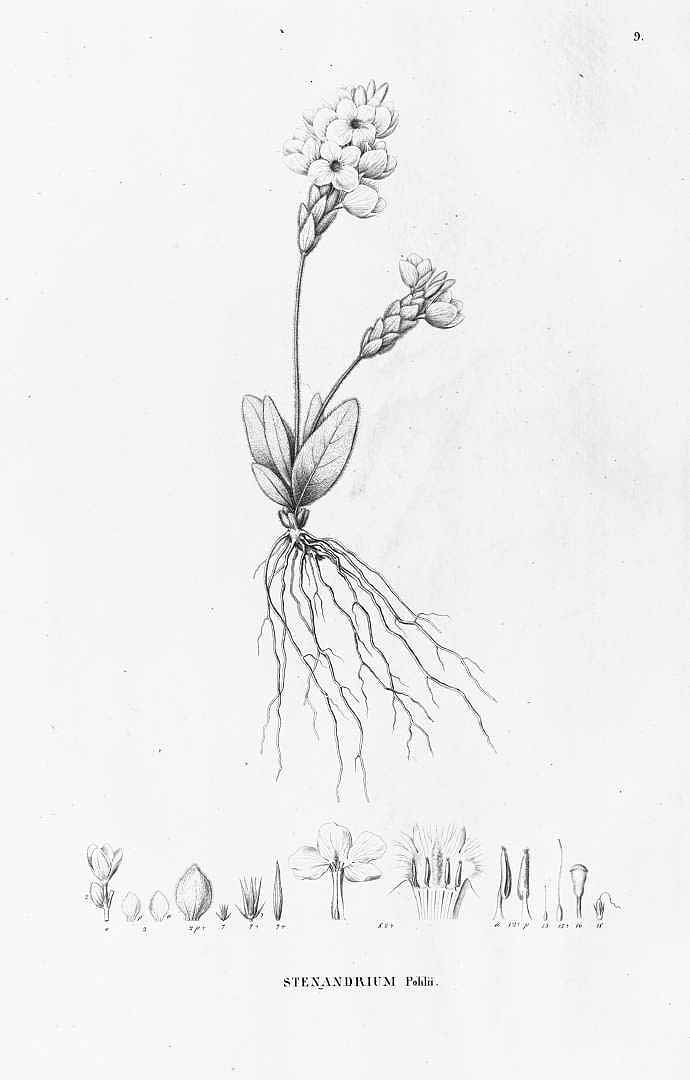 no HD illustration available (m3)