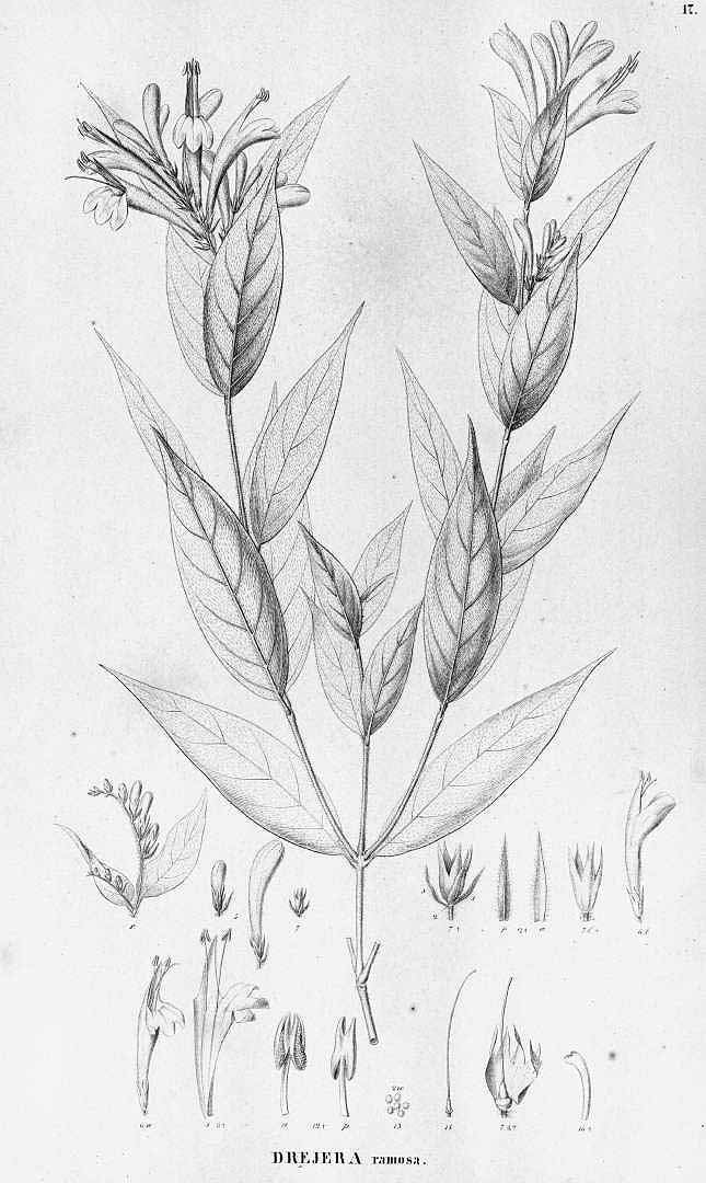 no HD illustration available (m3)