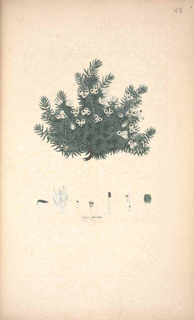 no HD illustration available (m3)
