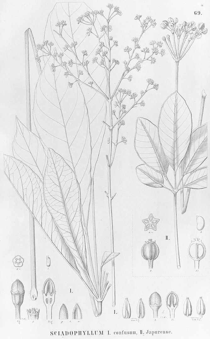 no HD illustration available (m1)