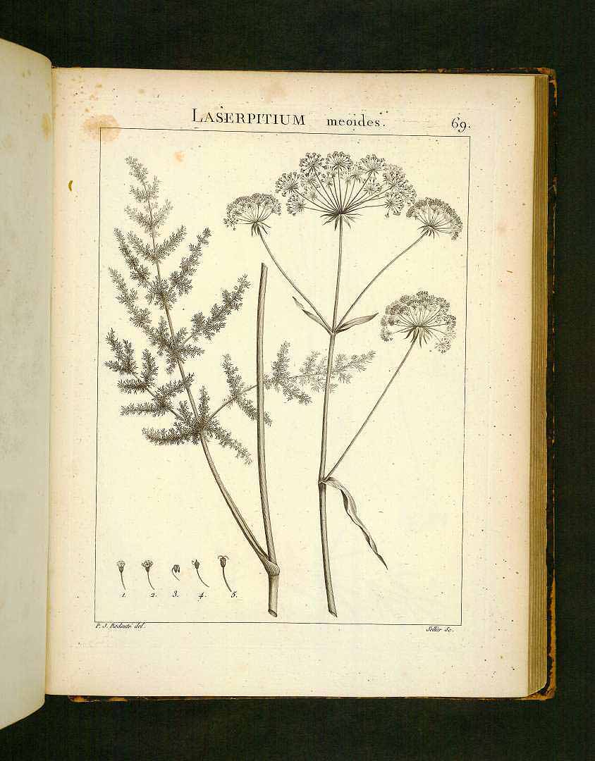 no HD illustration available (m3)