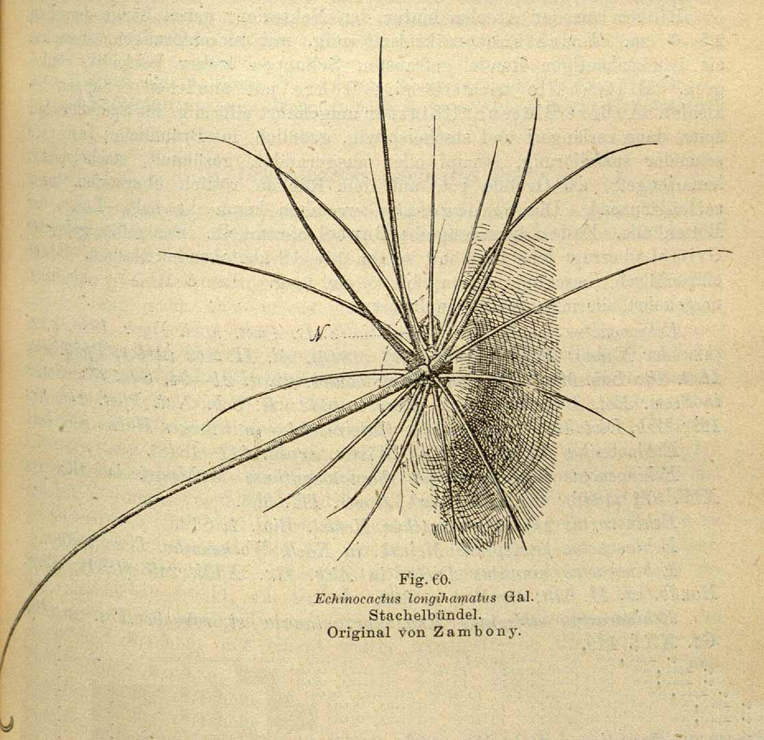 no HD illustration available (m2)