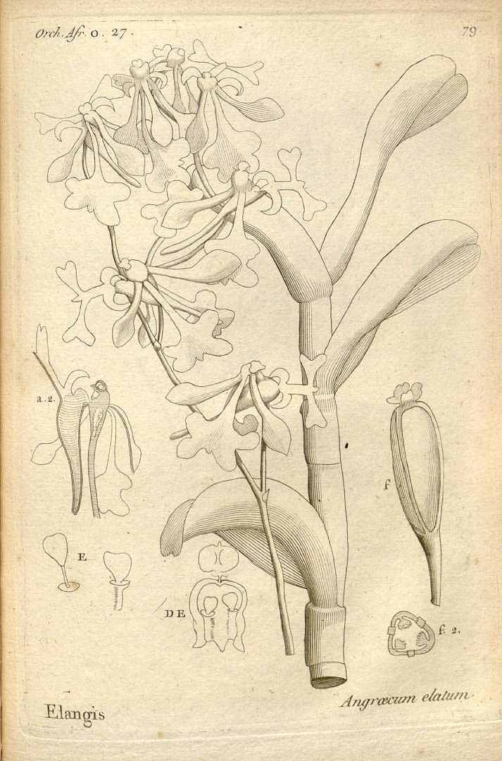 no HD illustration available (m3)