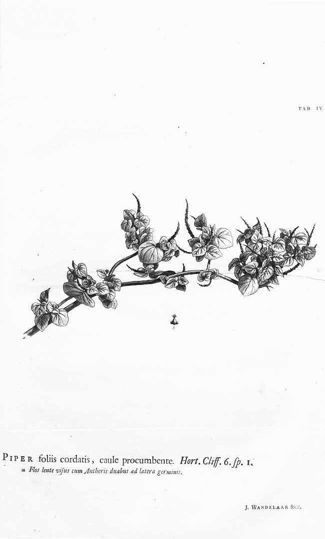 no HD illustration available (m3)
