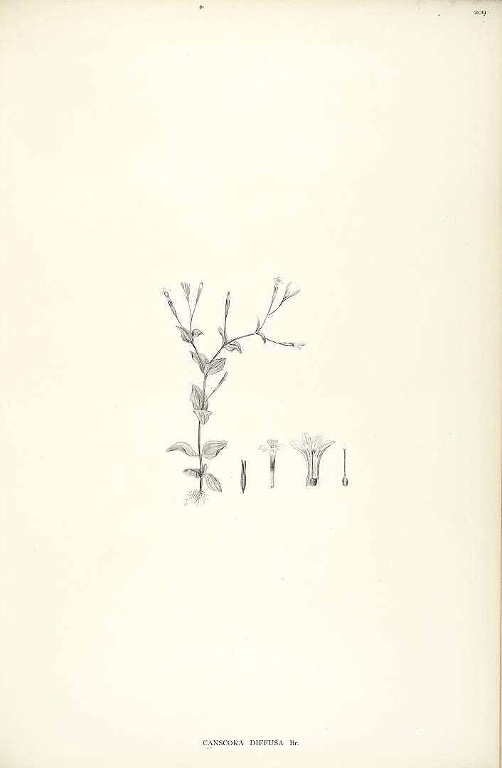 no HD illustration available (m3)