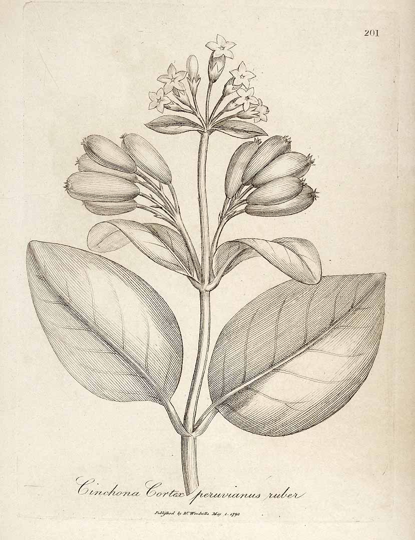 no HD illustration available (m1)