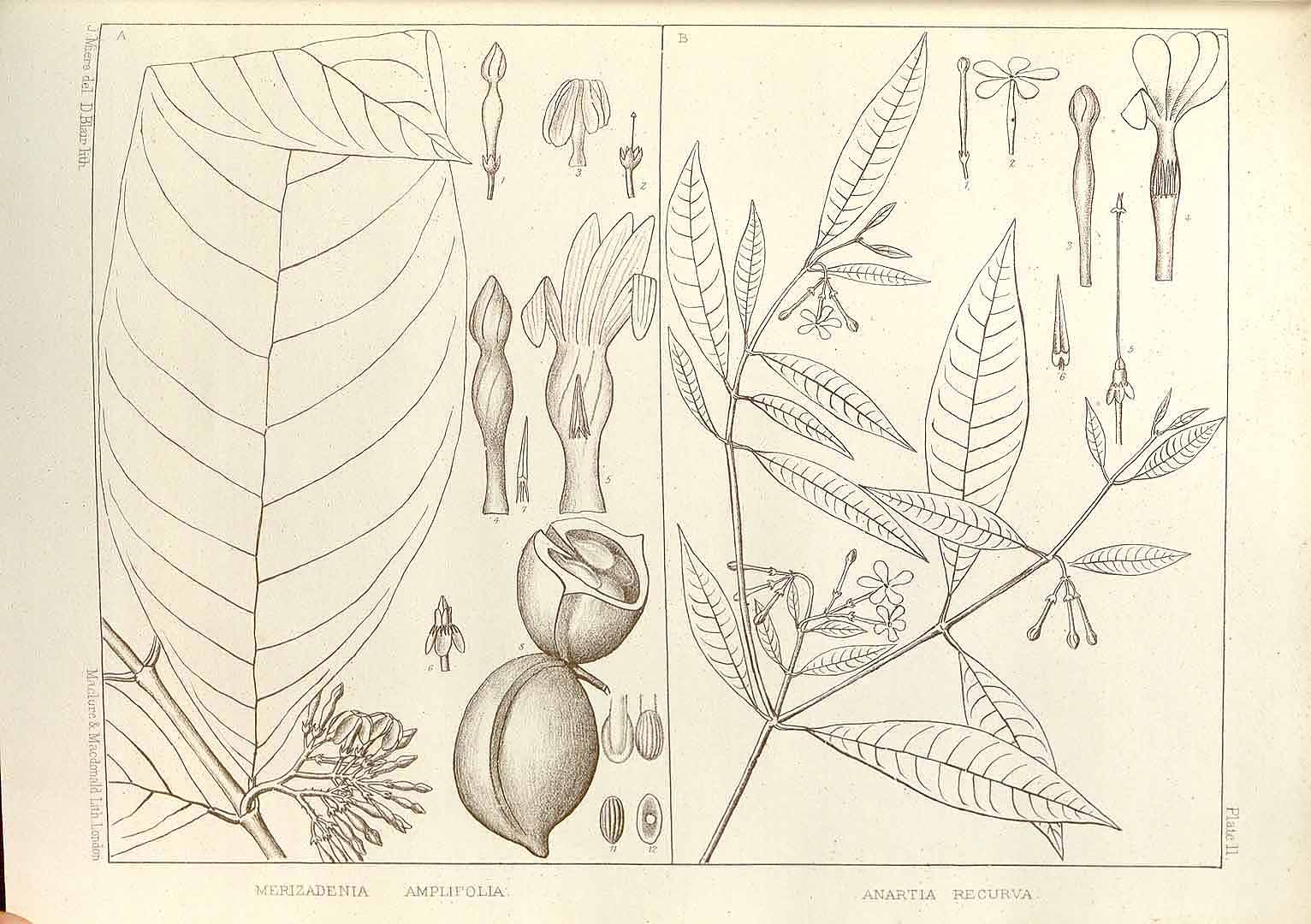 no HD illustration available (m2)