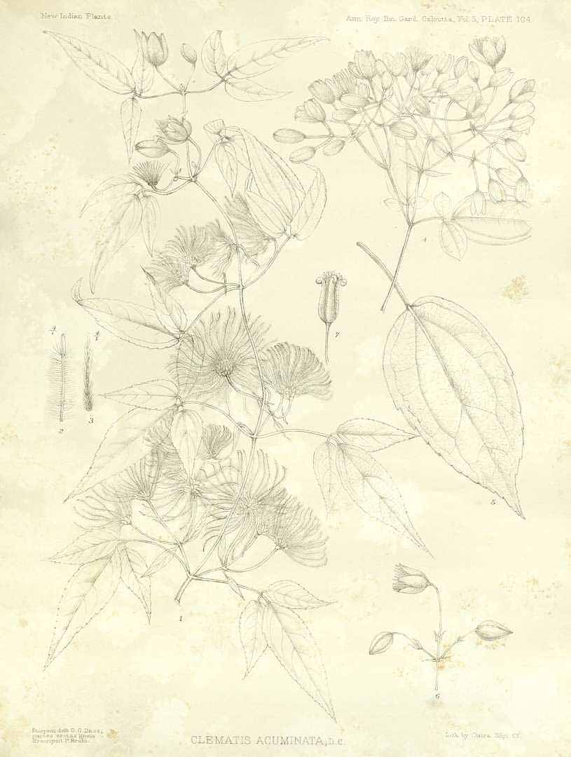 no HD illustration available (m3)