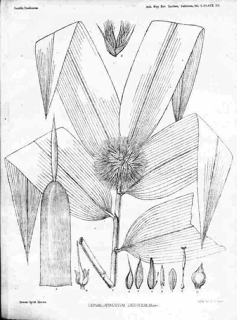 no HD illustration available (m3)