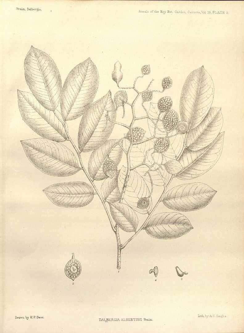 no HD illustration available (m3)