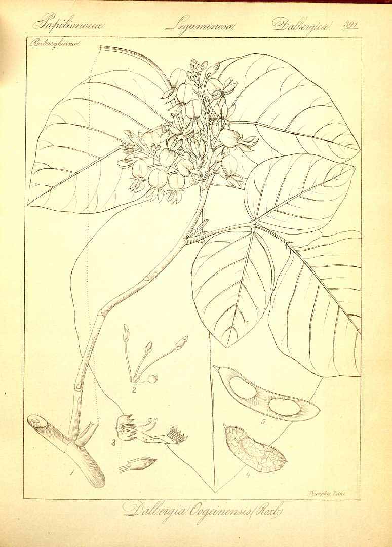 no HD illustration available (m3)