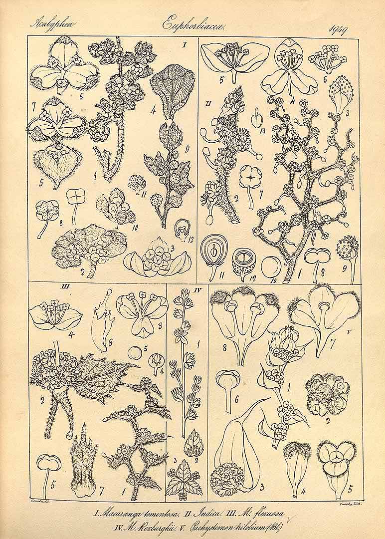 no HD illustration available (m3)