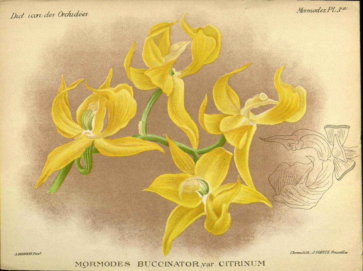 no HD illustration available (m5)