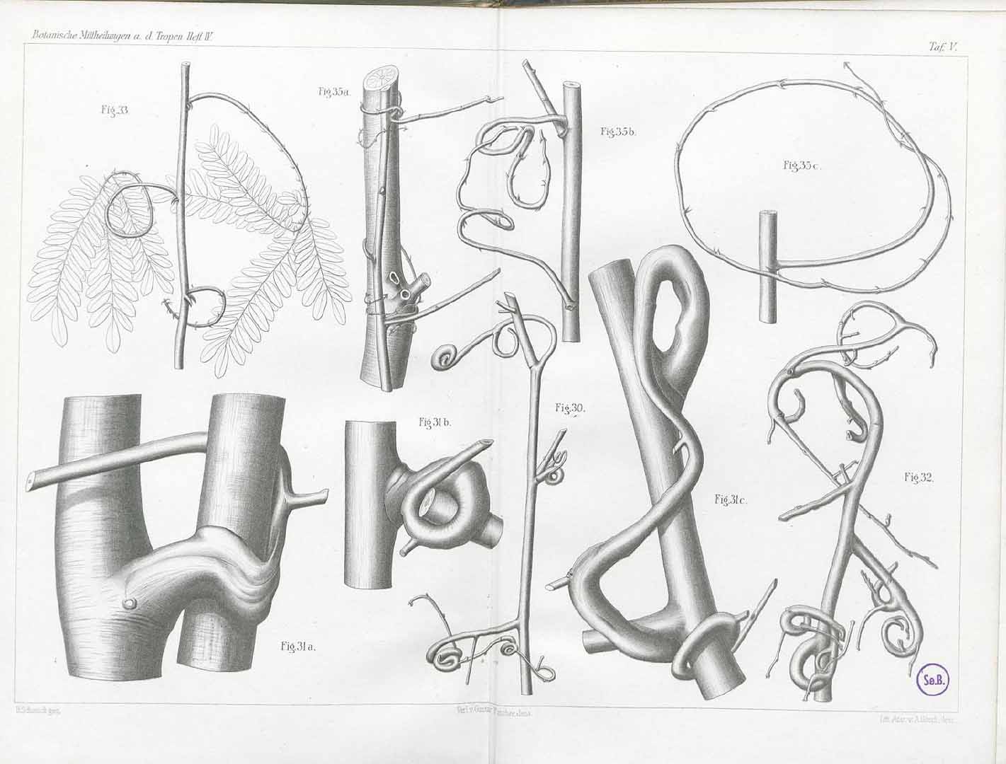 no HD illustration available (m5)