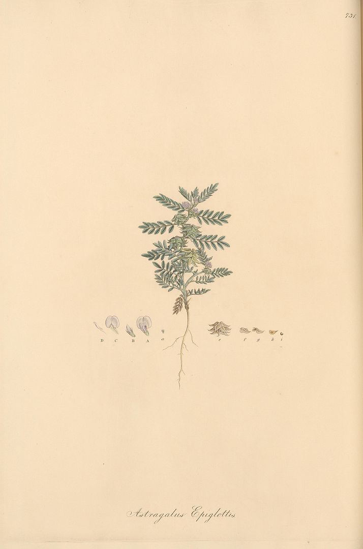 no HD illustration available (m3)