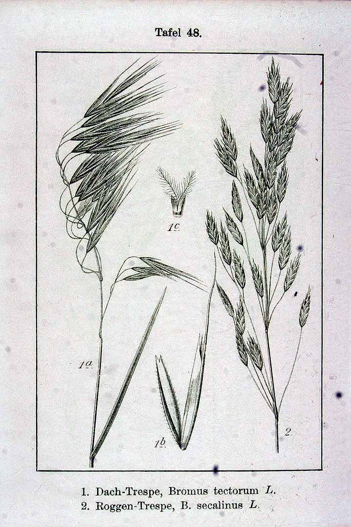no HD illustration available (m1)