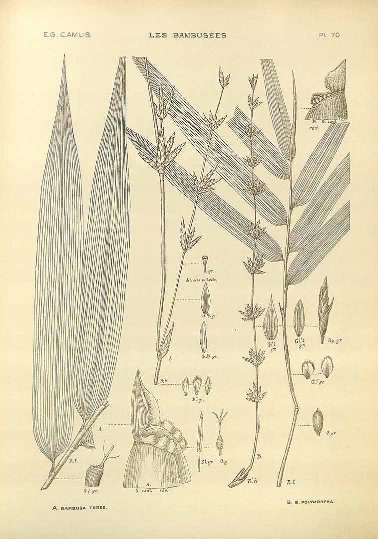 no HD illustration available (m3)
