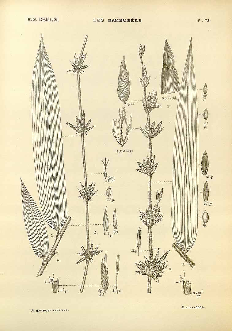 no HD illustration available (m3)