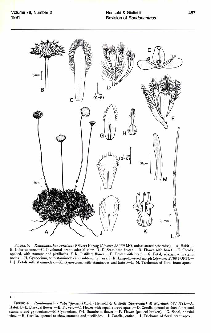 no HD illustration available (m1)