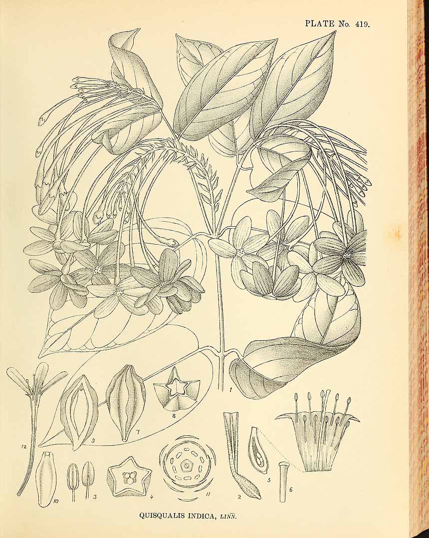 no HD illustration available (m1)