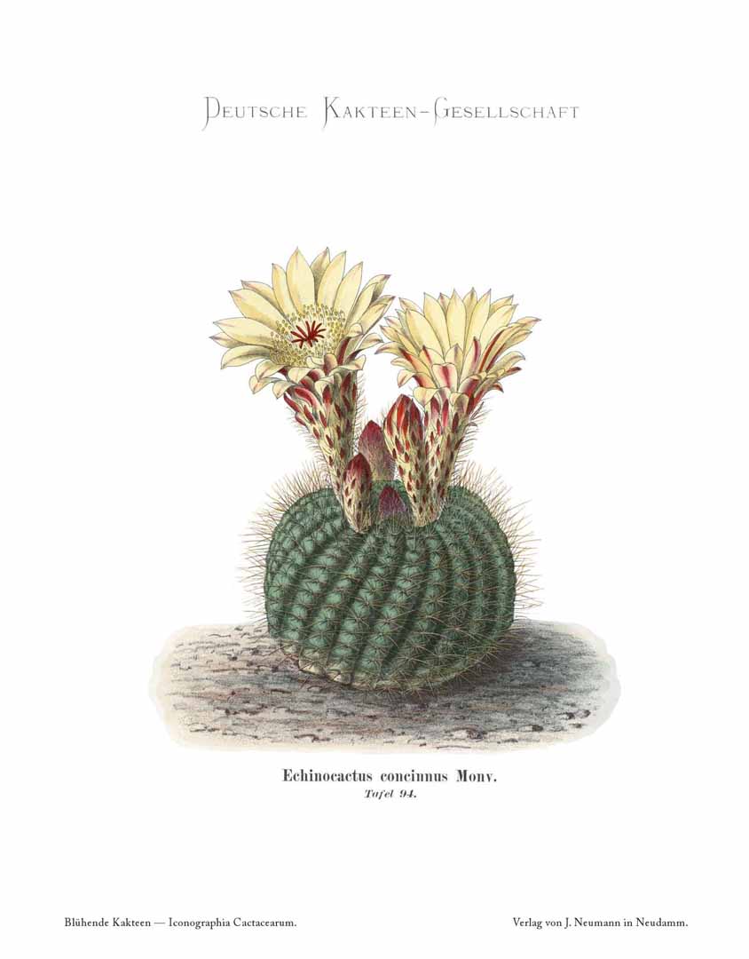 no HD illustration available (m1)