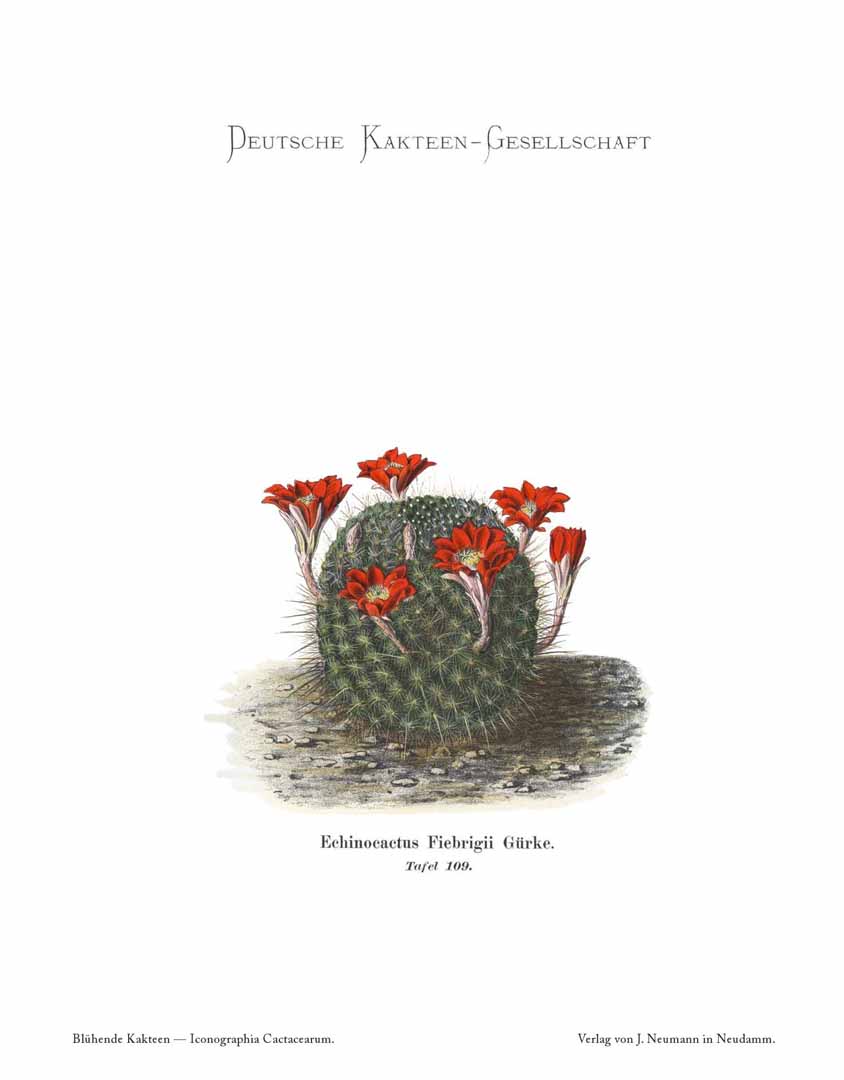 no HD illustration available (m1)
