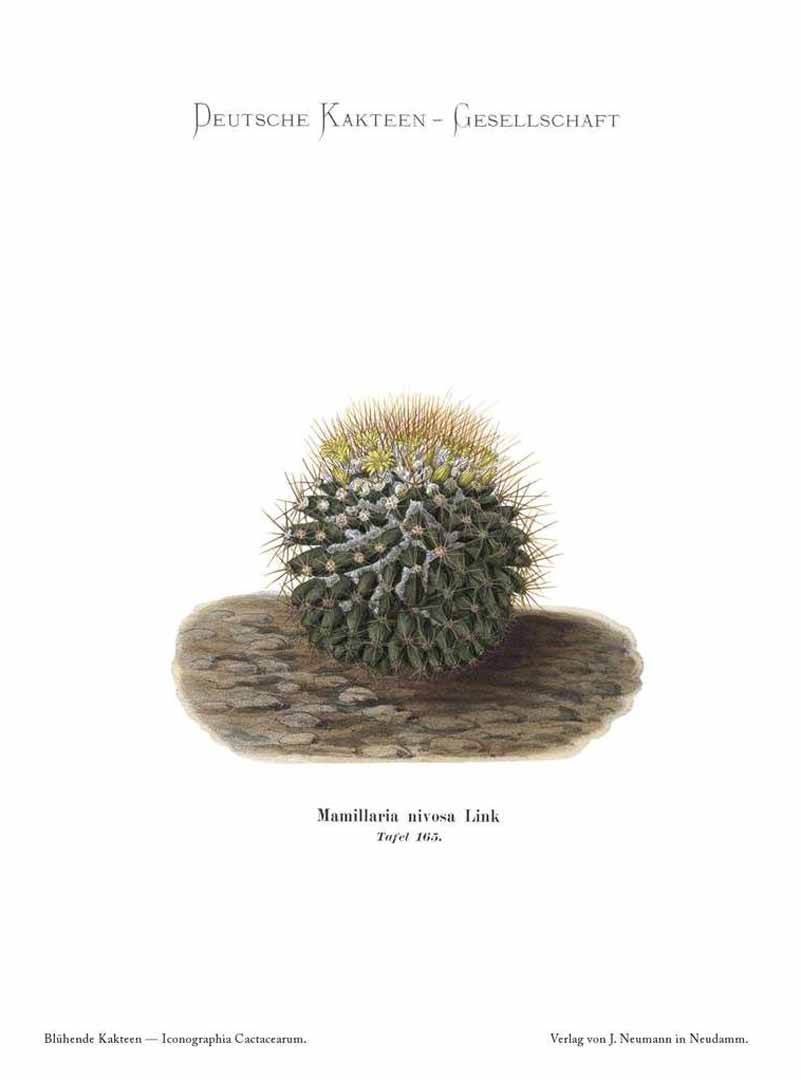 no HD illustration available (m1)