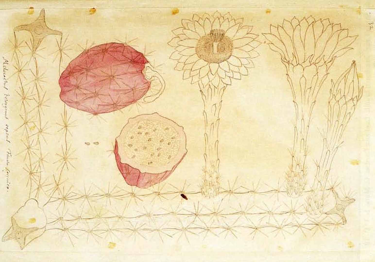 no HD illustration available (m2)