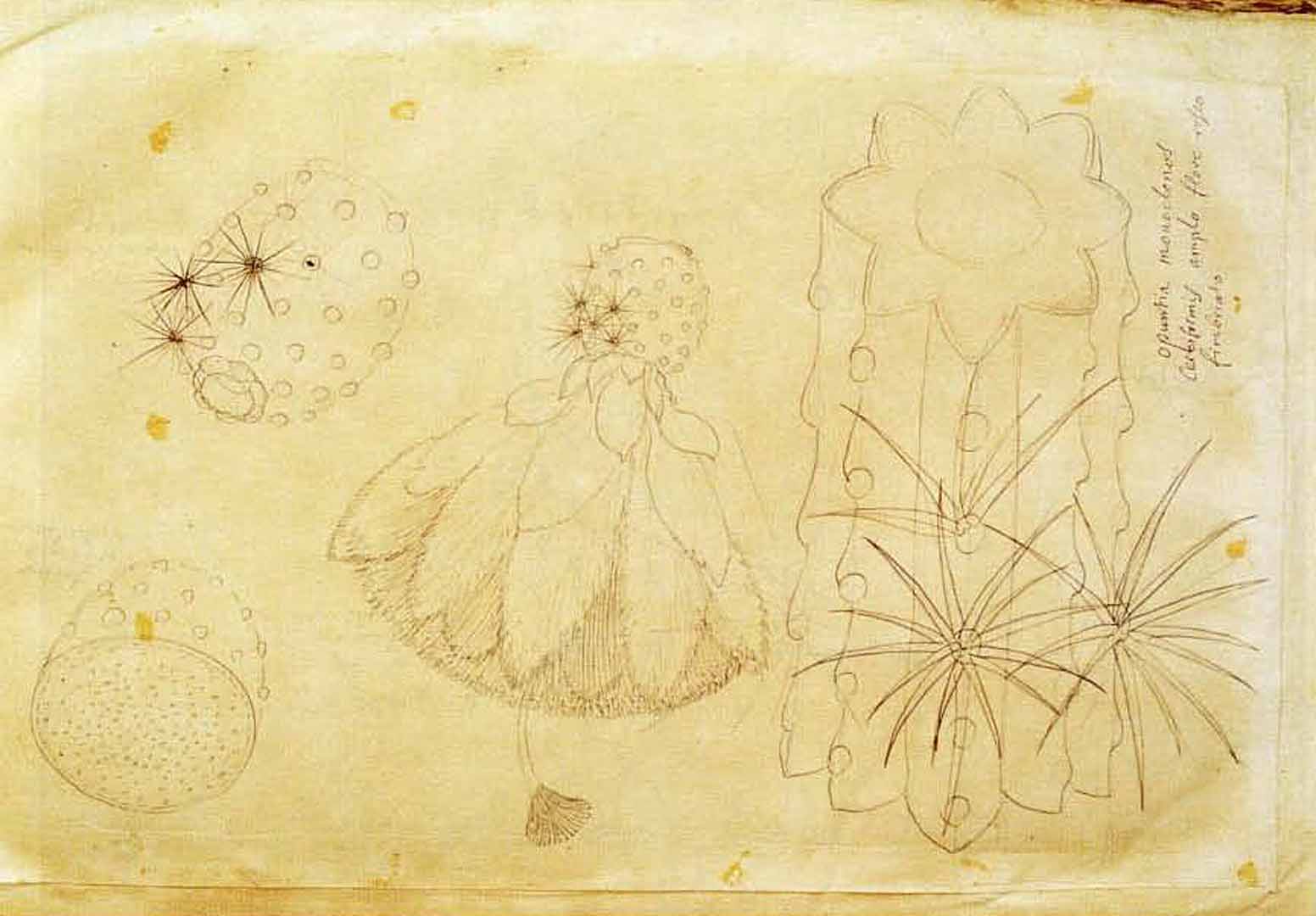 no HD illustration available (m2)