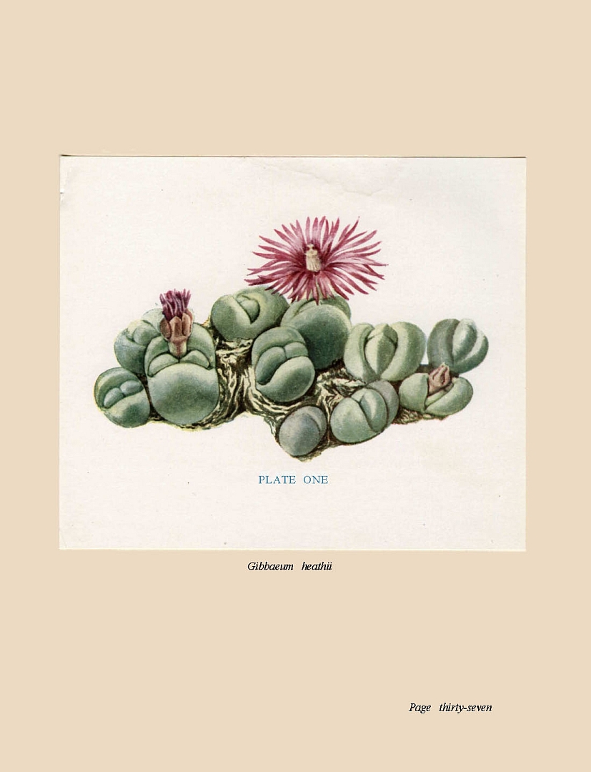 no HD illustration available (m5)
